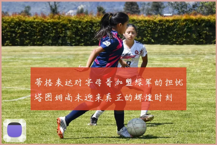 蒂格表达对字母哥加盟绿军的担忧塔图姆尚未迎来真正的辉煌时刻